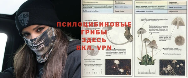 прущая мука Каменск-Шахтинский